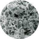 腐植質土壌顕微鏡写真